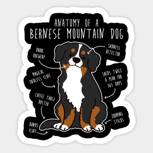Bernese Mountain Dog Anatomy Sticker